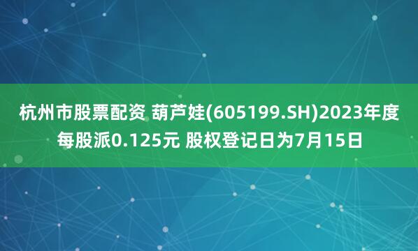 杭州市股票配资 葫芦娃(605199.SH)2023年度每股派0.125元 股权登记日为7月15日